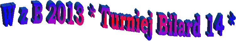 W z B 2013 * Turniej Bilard 14 *